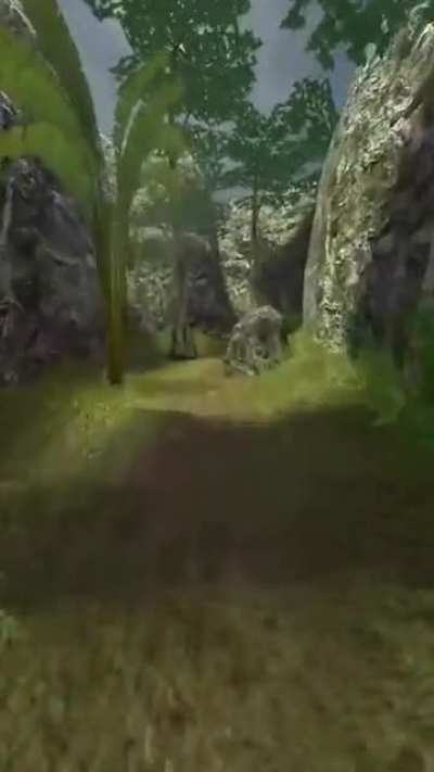 🌲