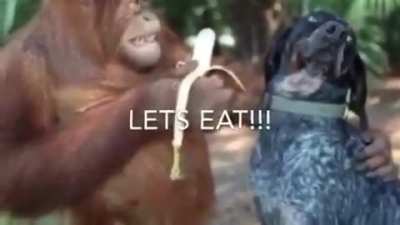 Finally the wait is over it&rsquo;s funky monkey Friday