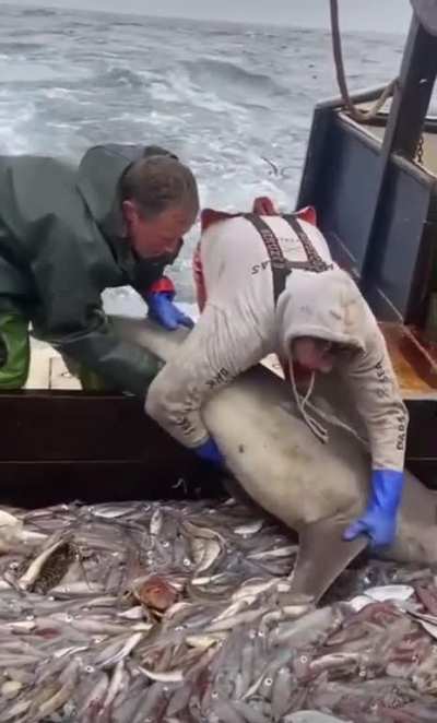 When you catch a little more than you bargained for