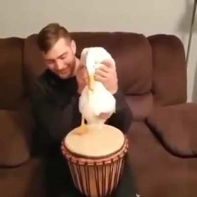 Slappy ducc