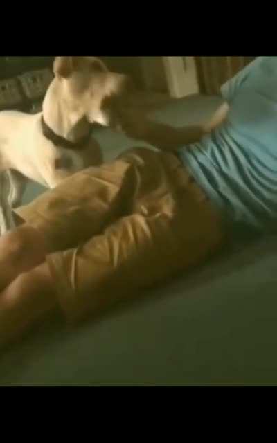 Playing with your puppy