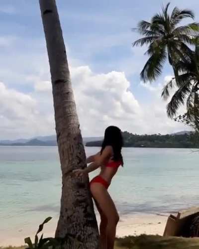 Maja Salvador