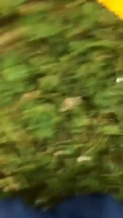 Did a slip and slide with my flatmates. I &ldquo;christened&rdquo; it but accidentally stopped recording in the jump. After watching back over I realised it was pretty much perfectly cut