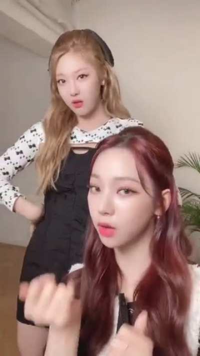 211006 aespa Tiktok Update with Karina &amp;amp; Ningning - Savage Challenge