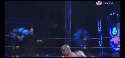 Rey Fenix counters Kenny Omega&rsquo;s One Winged Angel with a Ripcord High-Kick into a SitOut Tombstone PileDriver at AAA H&eacute;roes Inmortales Xlll (2019)
