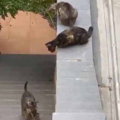 Homies ain’t leaving anyone behind