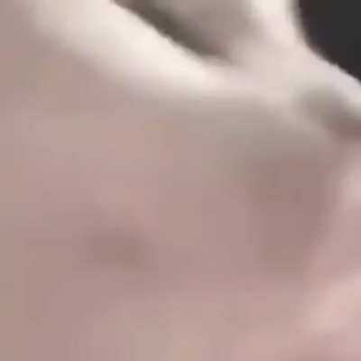 The