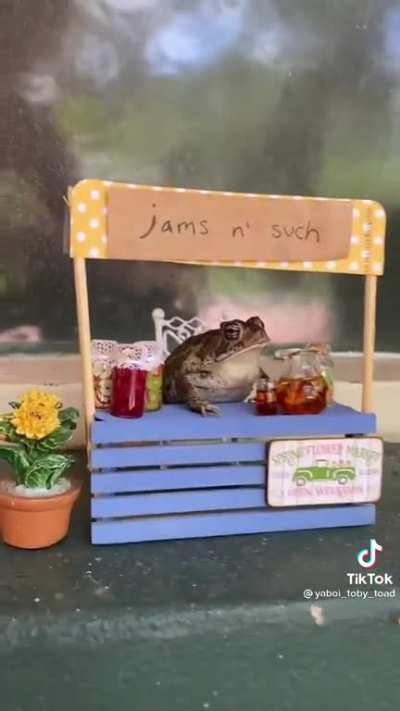 frog_irl