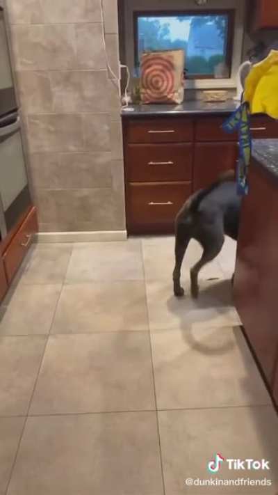 whatcha got there?