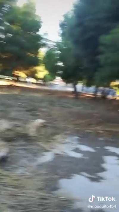 La mayor corrida de mi vida 😳👌