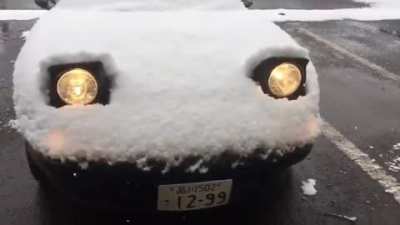 Blursed_senpai_car