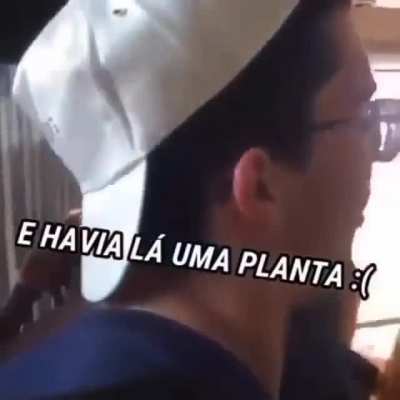 Portugueses.