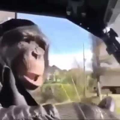 😳👌🏻