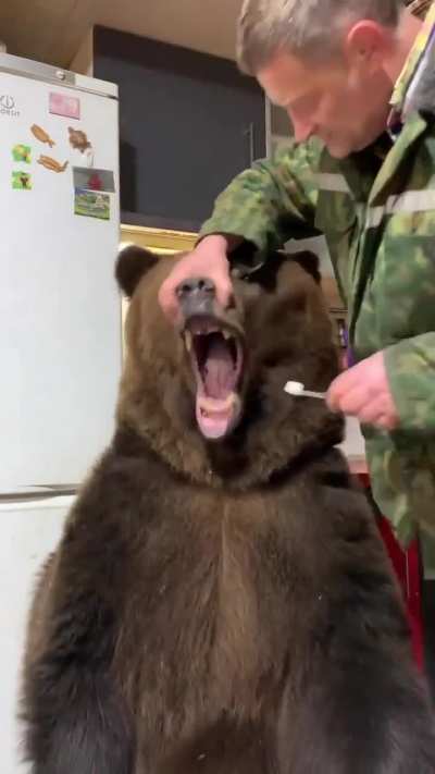 brush your damn teeth