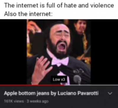 Apple bottom jeans