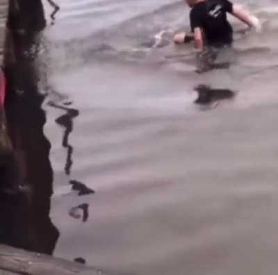 Jumps In The Water