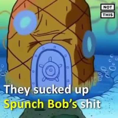 they the