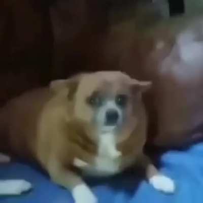 Cursed_sausageroll