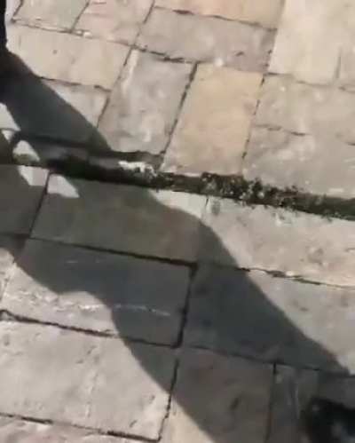 Tembl&oacute; tan fuerte que el calle se separ&oacute;