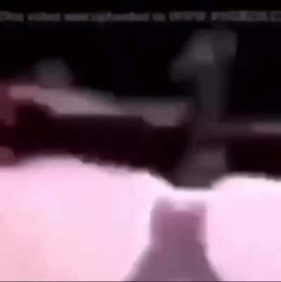 jaja meme