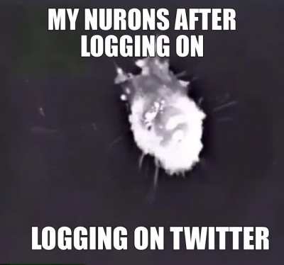 OW OW OW OW MY NURONS HERT