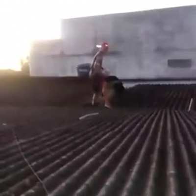 Vai quebra as telha
