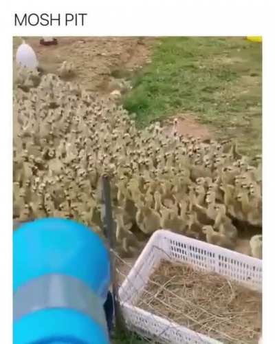 Made me smile