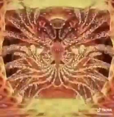 cursed_angel
