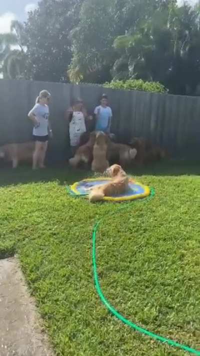 Kevin&rsquo;s Fun Day
