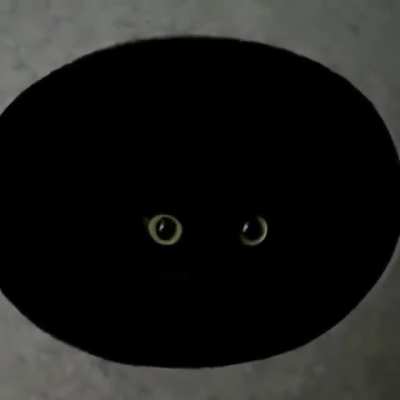 There is no cat in this at all