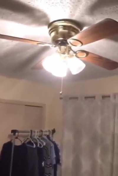 fan
