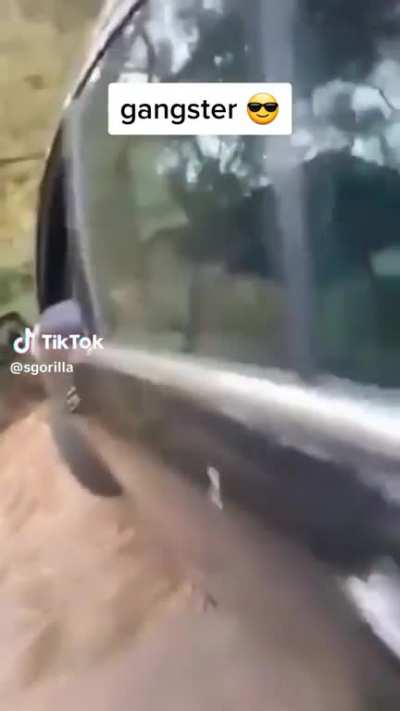 Gangster😎