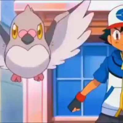 Pok&eacute;mon in real life? S&oacute; tapa de qualidade TWITCH:onlymabs