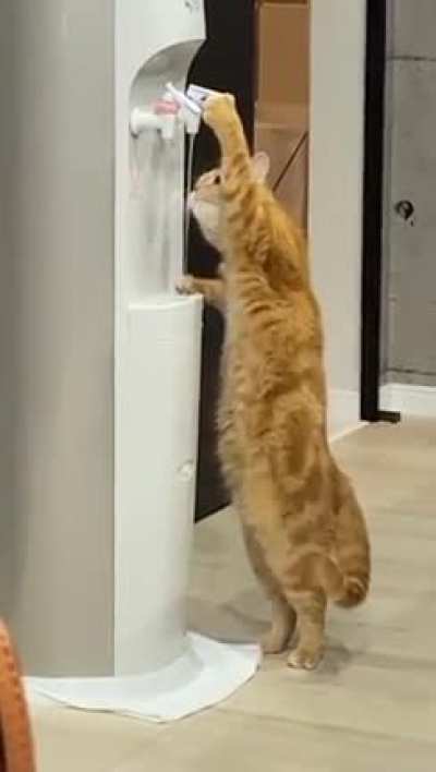 I already know how you do that!