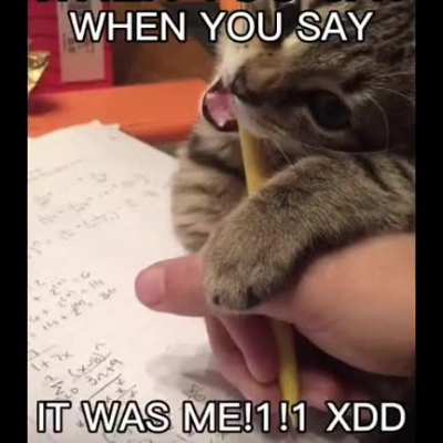 :3