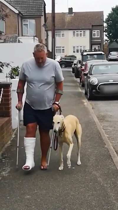 Dog Limps Like Owner, Out of Sympathy
