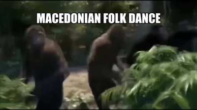 National dance of Monkeydonia 😱🤣🤣🤢🤨😉😉