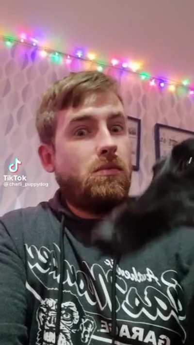 When your dog is in a mood