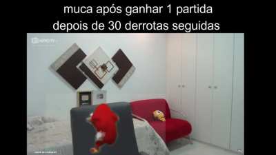 vc ai muca