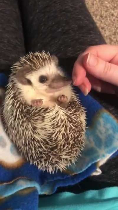 Hold my foot!