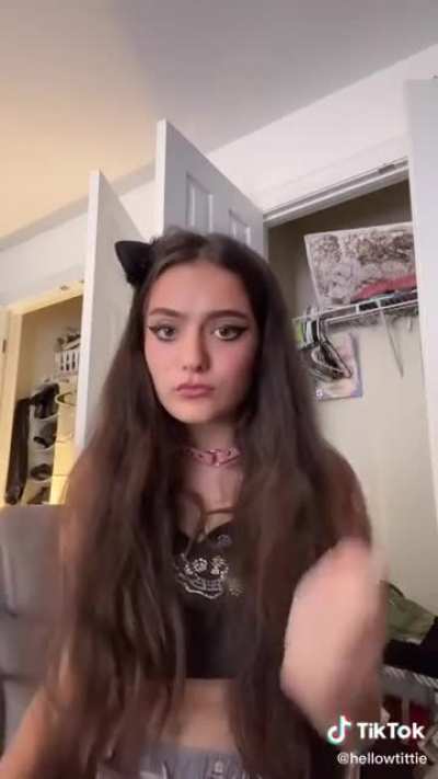 The human-cat war
