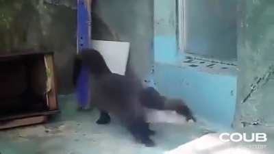 He groovin