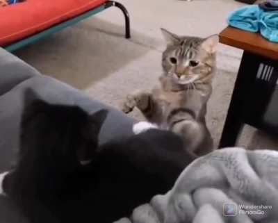 Sniff da butt