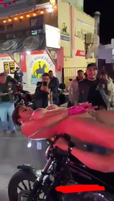 Puss n Bike