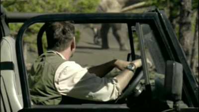 This scene in Chased by Dinosaurs will always be the best adult sauropod hunt my opinion.