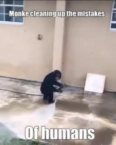 save monke