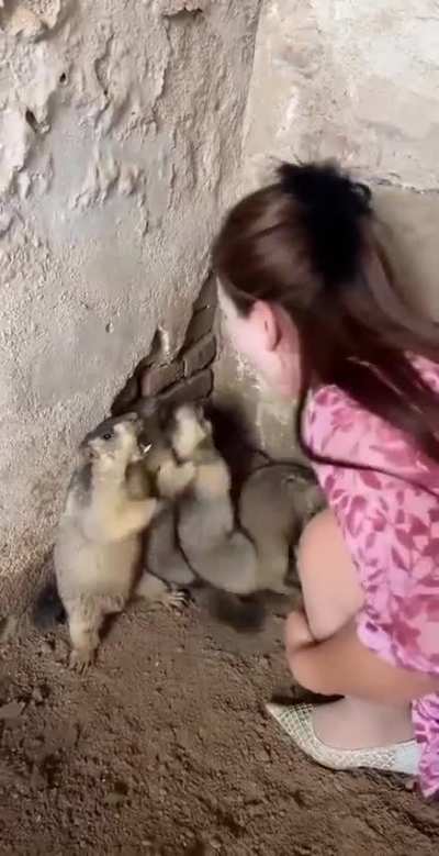 真是吃饱了<wbr>撑的