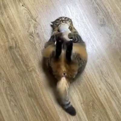 I will catch you