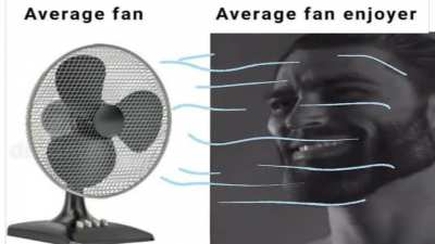 Average Fan vs Average Fan Enjoyer