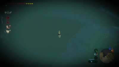 My 8 year old son showing me Link swan diving...